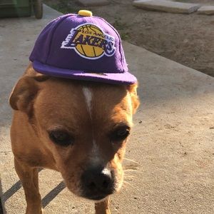 Meet your Posher, Marcel